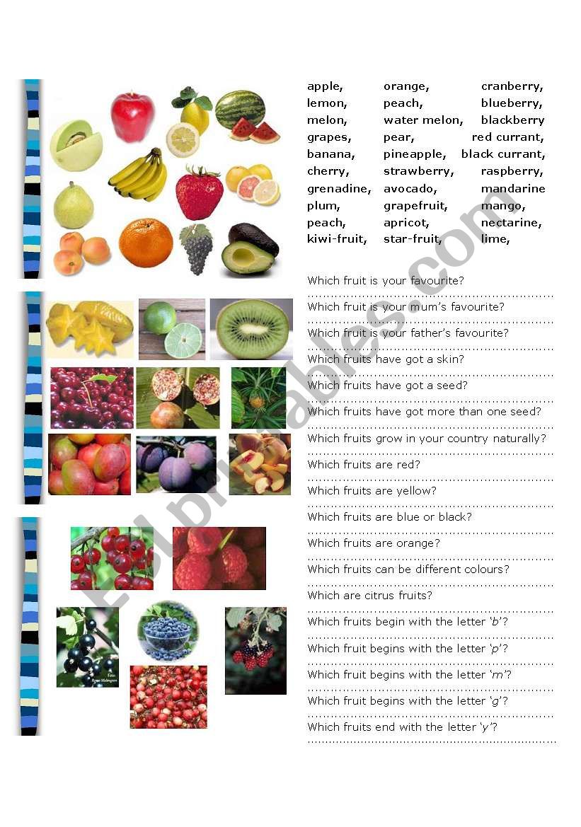 fruit worksheet