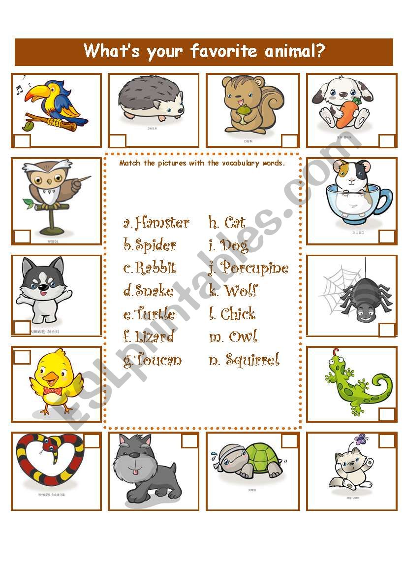 ANIMALS ADJECTIVES ESL Worksheet By LA LUNA