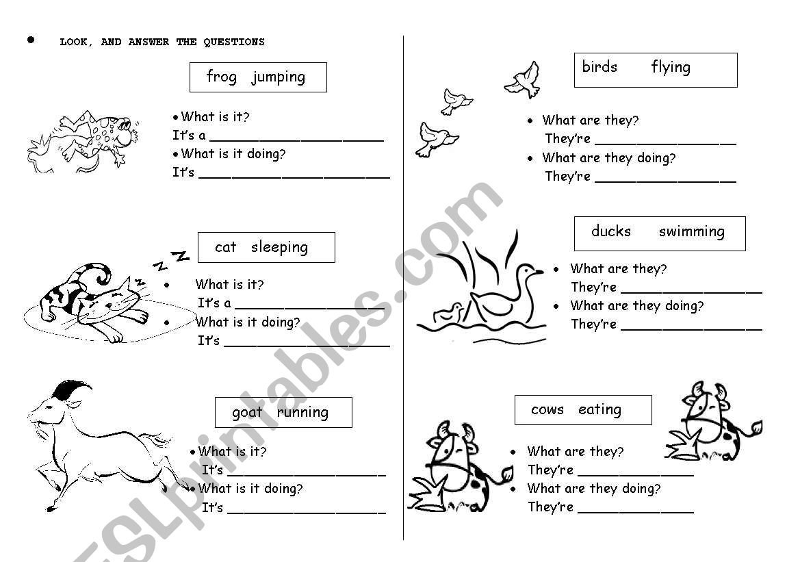 farm animals actions worksheet