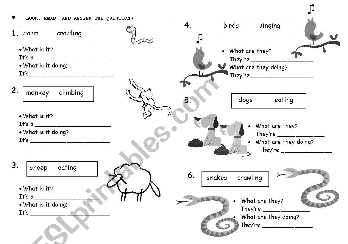 more farm animals worksheet