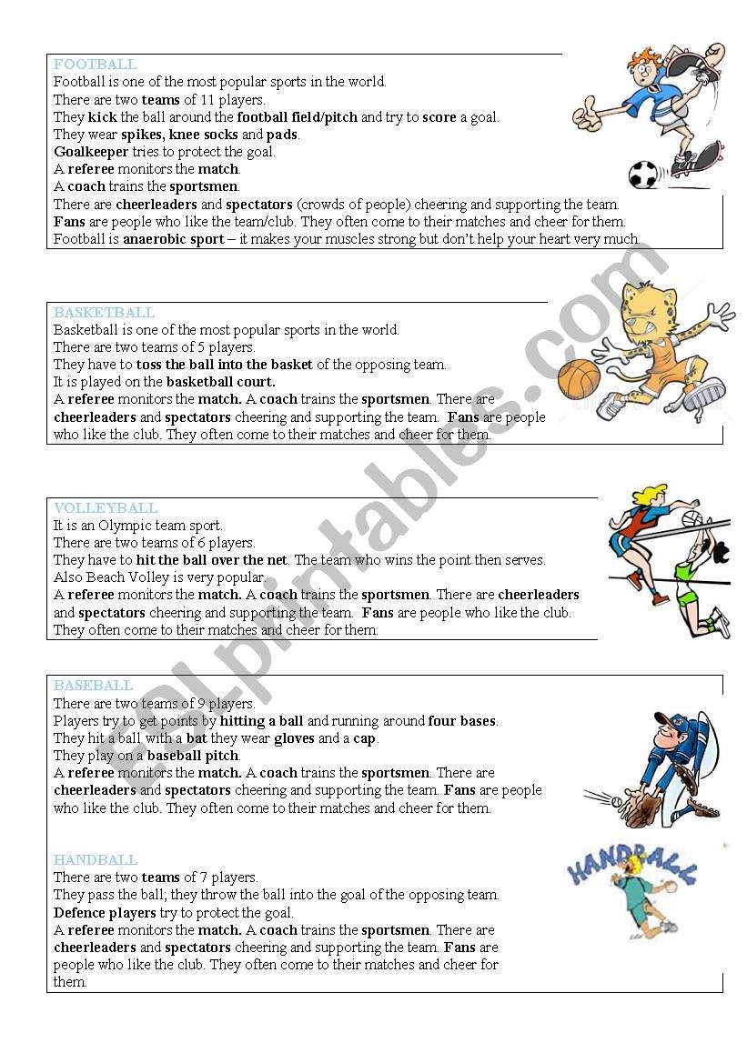 Sports vocabulary worksheet