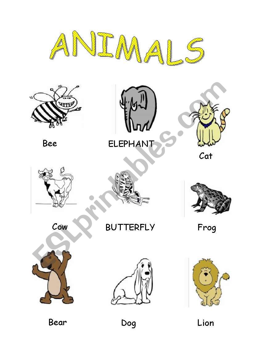 animals (p.d) worksheet