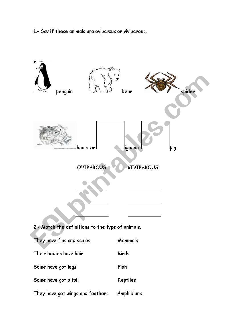English worksheets: Oviparous/Viviparous worksheet