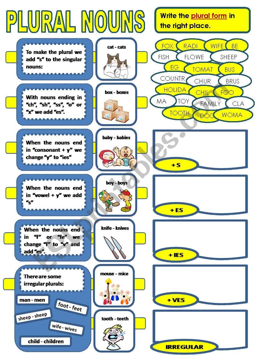 PLURAL OF NOUNS worksheet