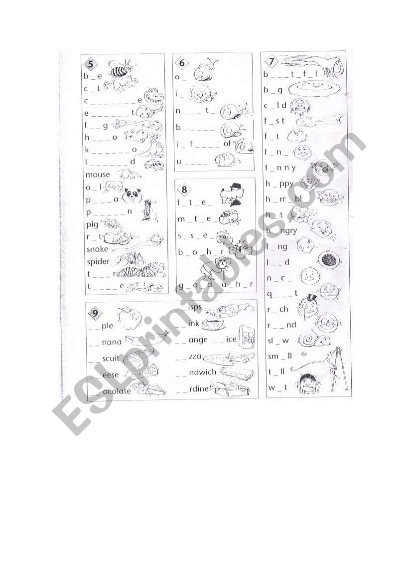 vocabulary worksheet