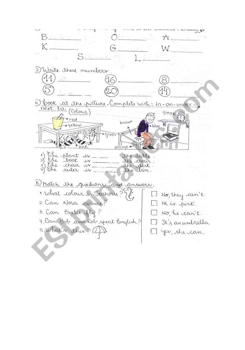 test worksheet