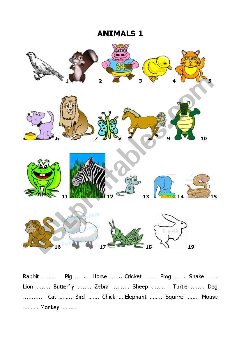 build up your vocabulary - animals 1