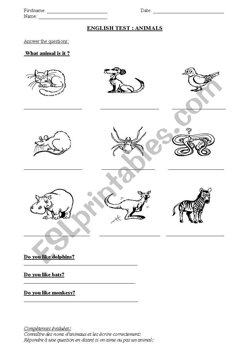 test pets   worksheet