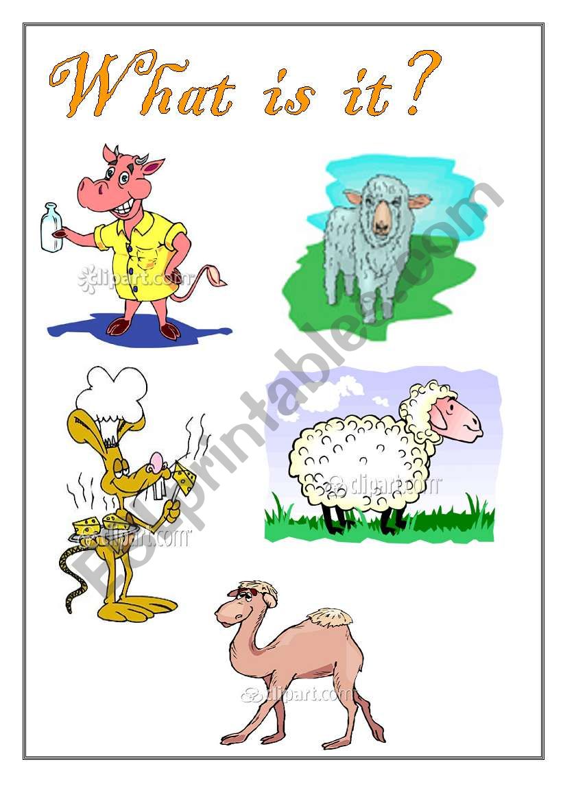 animals worksheet