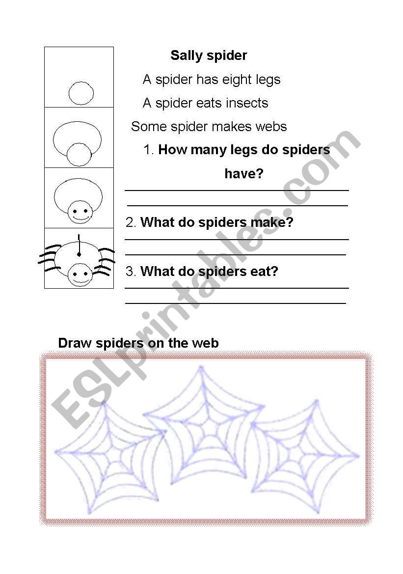 Sally spider worksheet