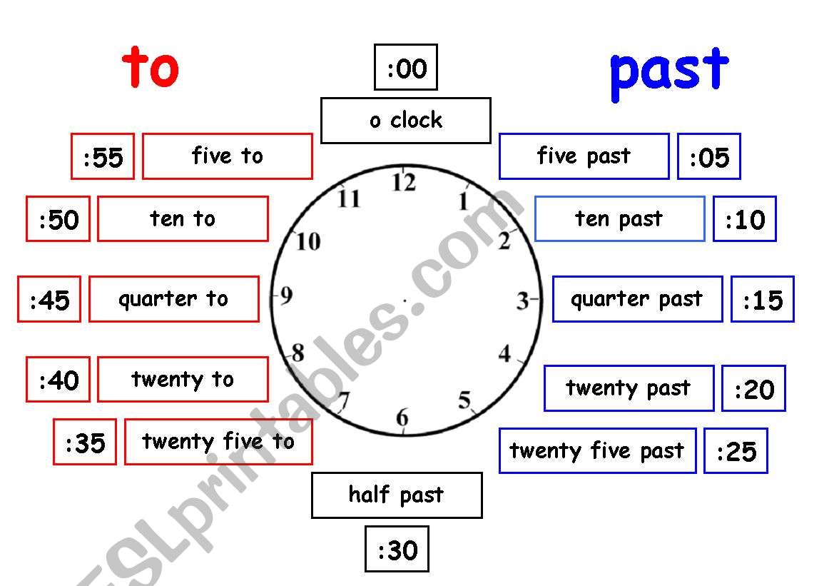 clock face worksheet