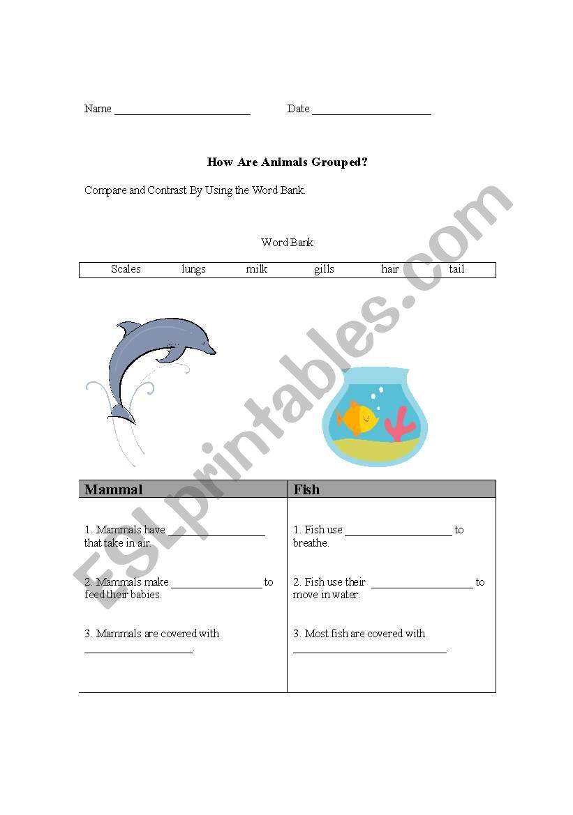 Whales/dolphins vs. fish worksheet