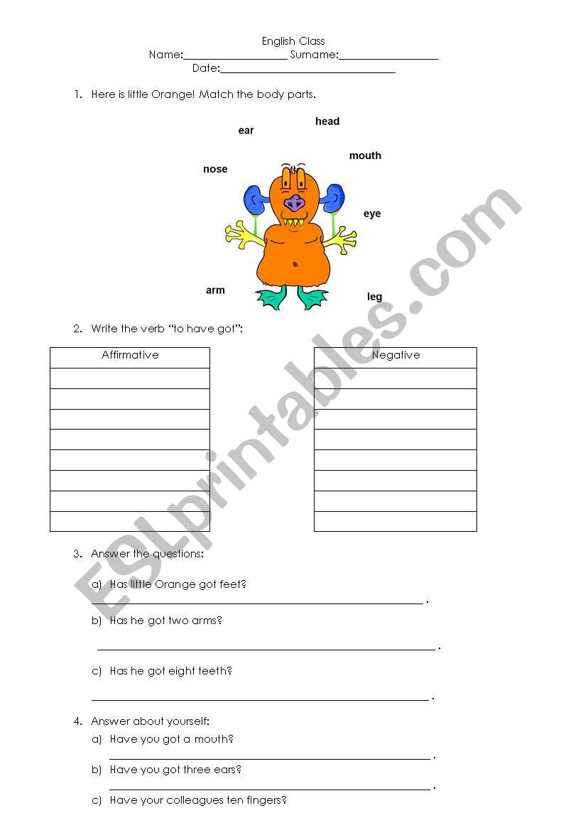 Body parts  worksheet