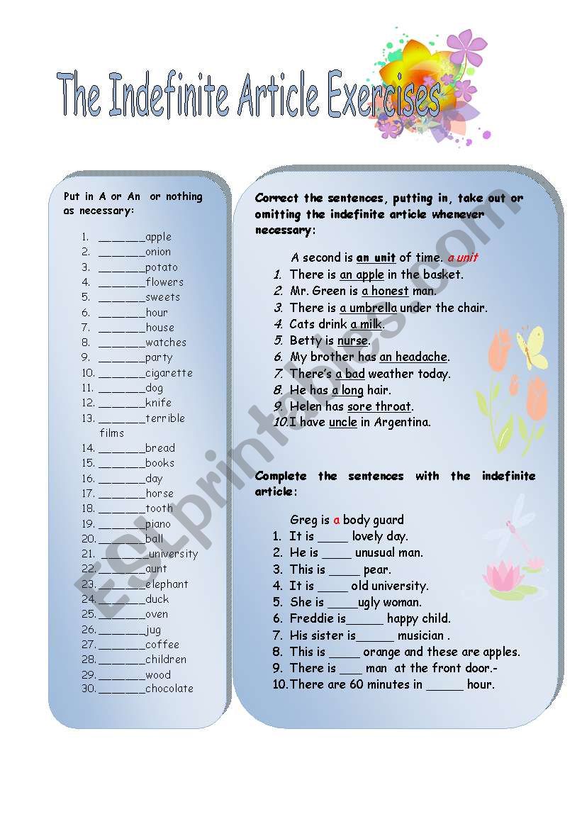  Indefinite article exercises worksheet