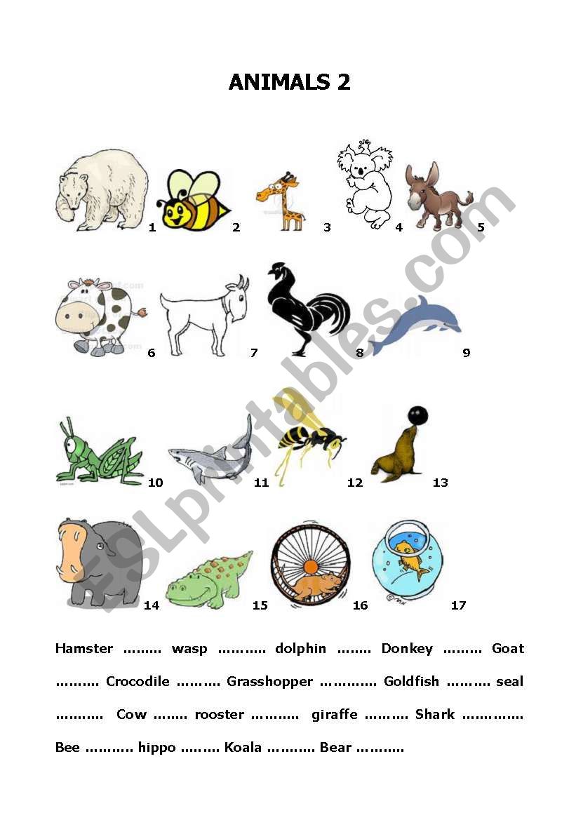 Build up your vocabulary - animals 2