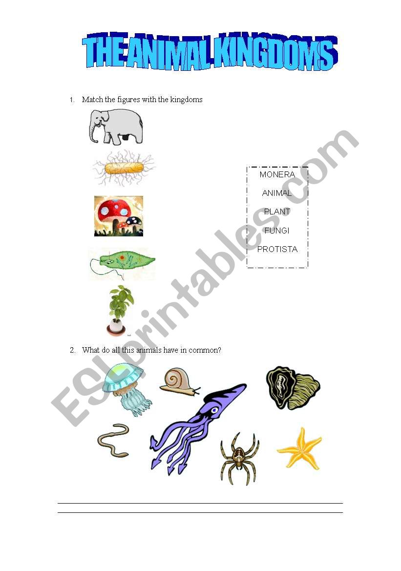 animal kingdoms worksheet