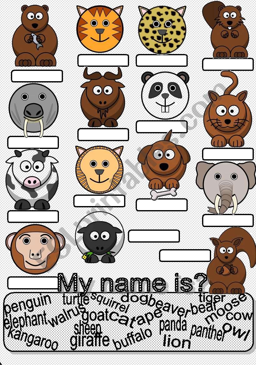 Animals worksheet