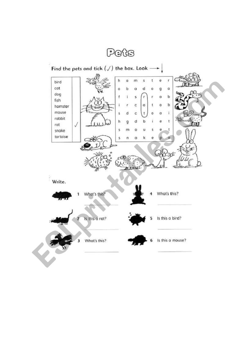 pets worksheet