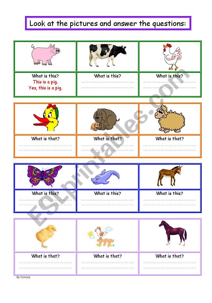 Animals worksheet