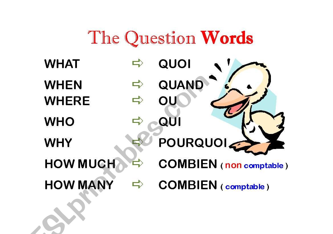Wall sign on question words worksheet