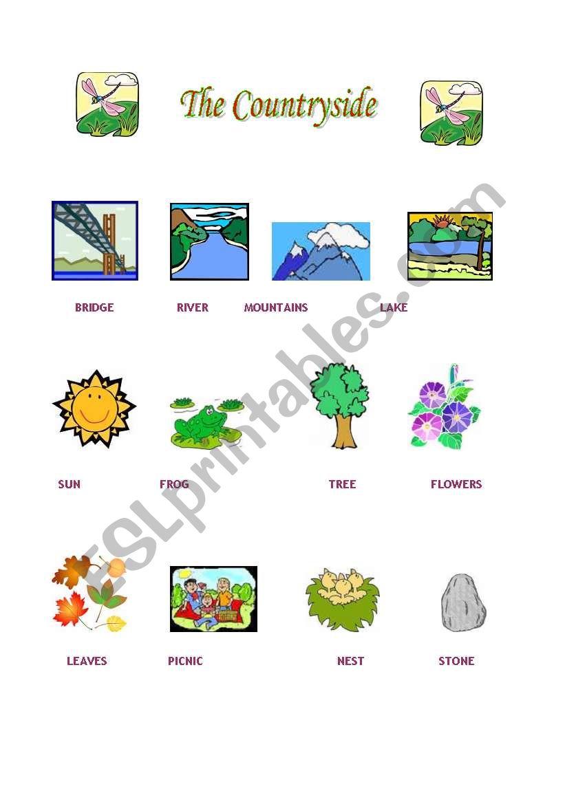 COUNTRYSIDE PICTIONARY worksheet