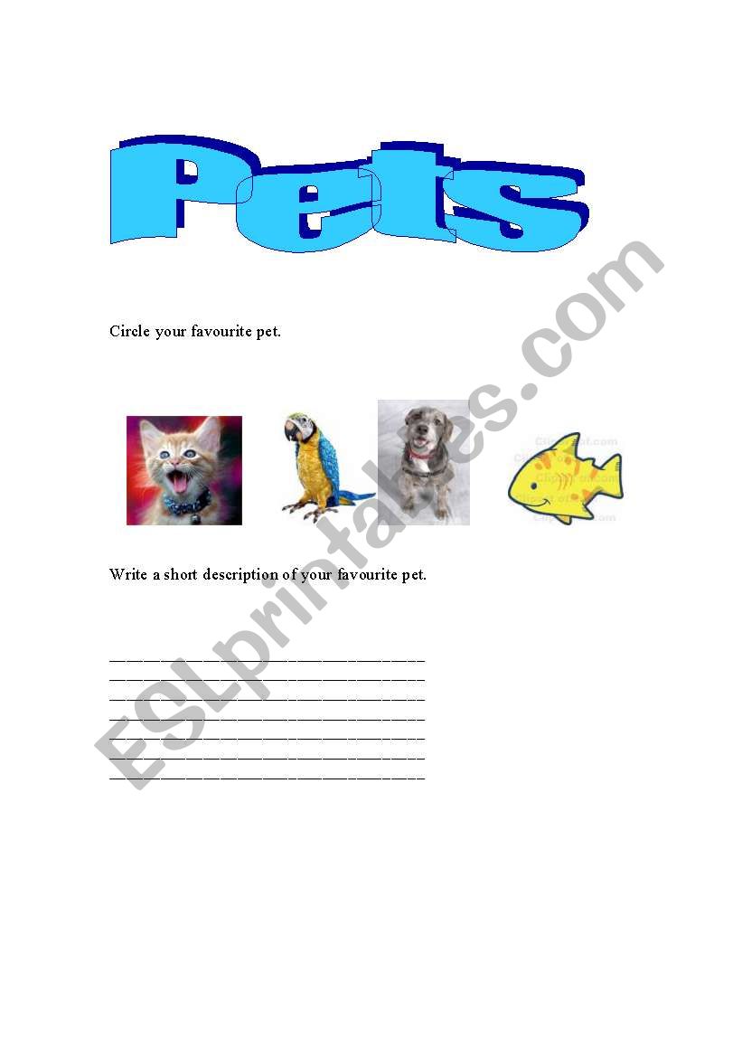 pets worksheet