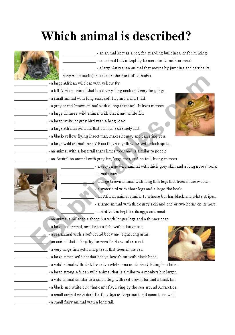 Animal descriptions - worksheet