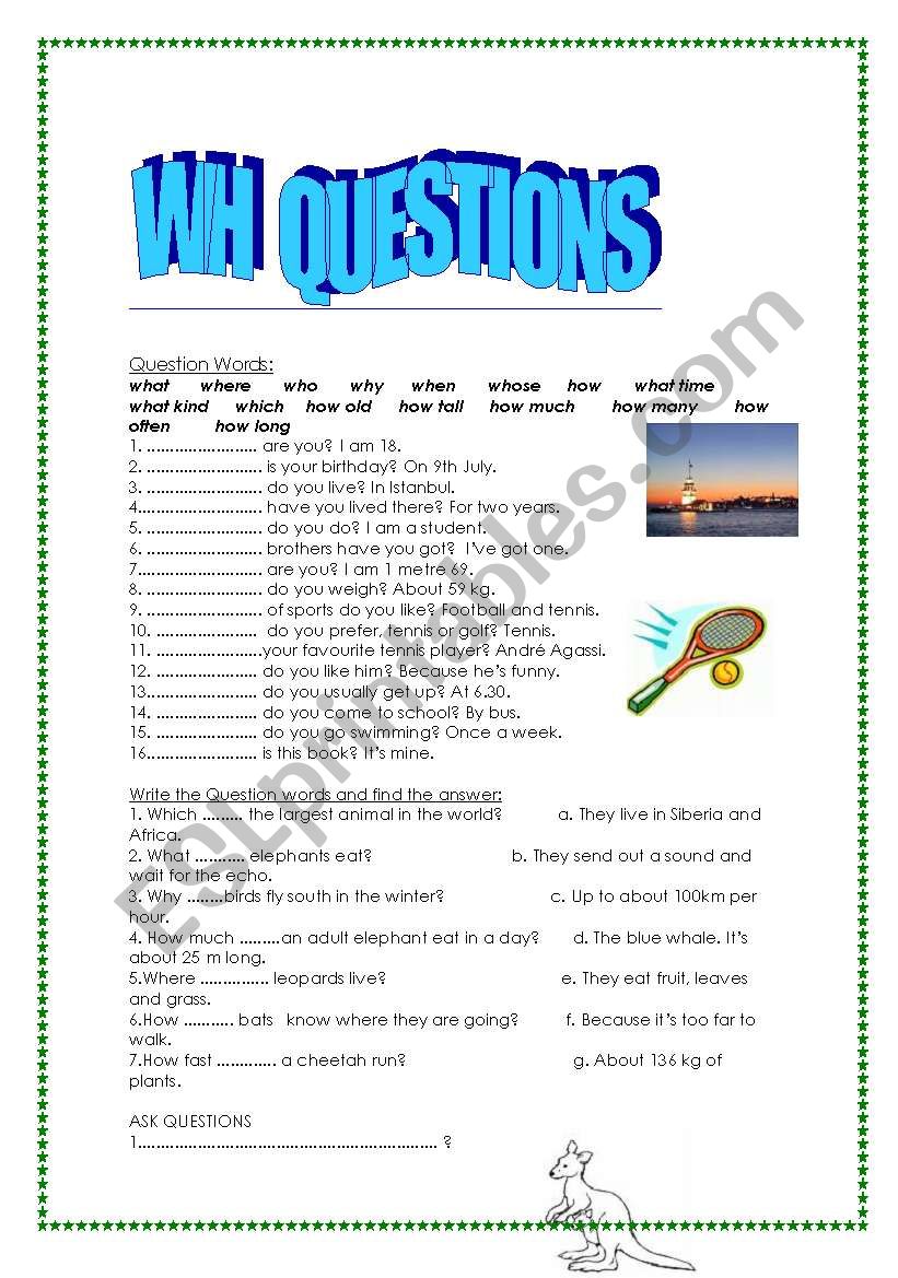 wh questons worksheet