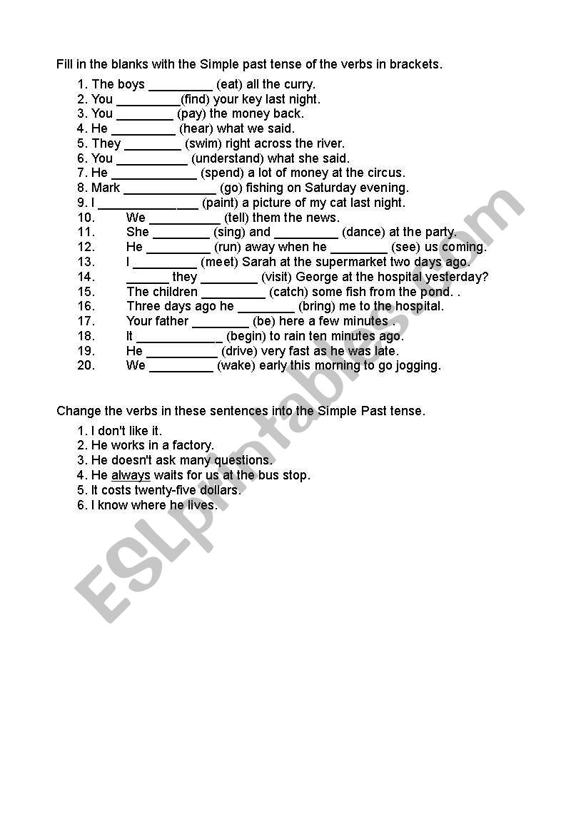 grammar exercise past simple worksheet