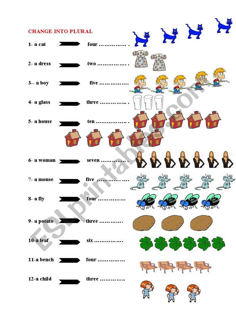 plurals worksheet