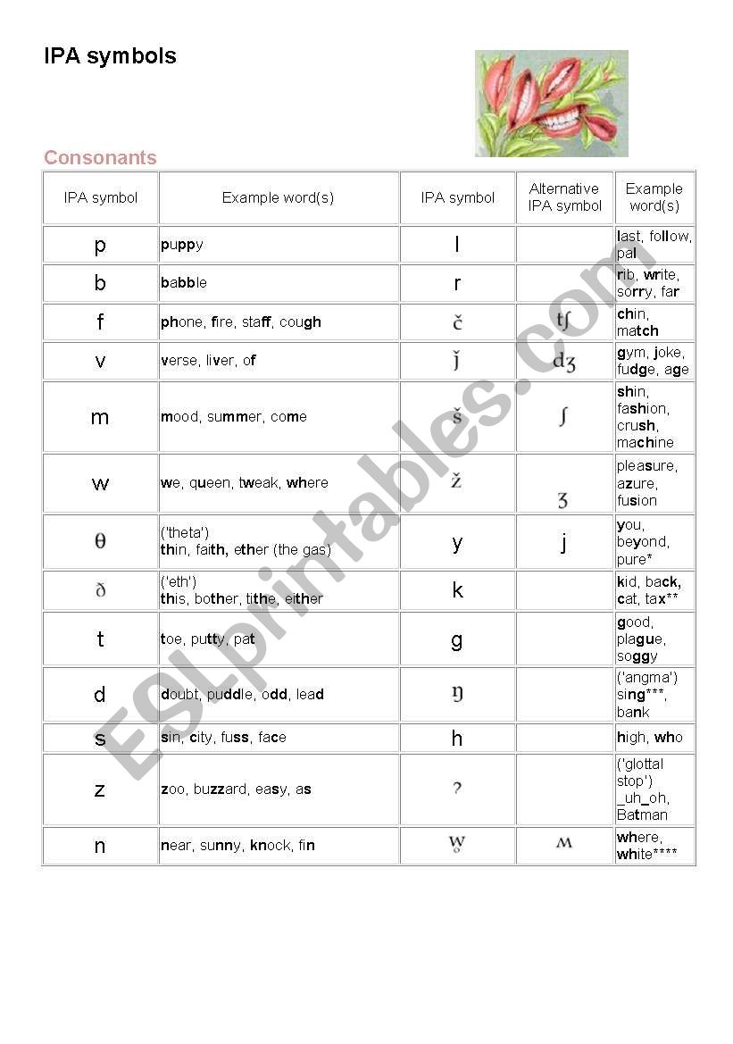 IPA symbols worksheet