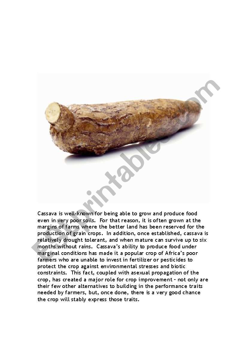 casava grown in Africa worksheet