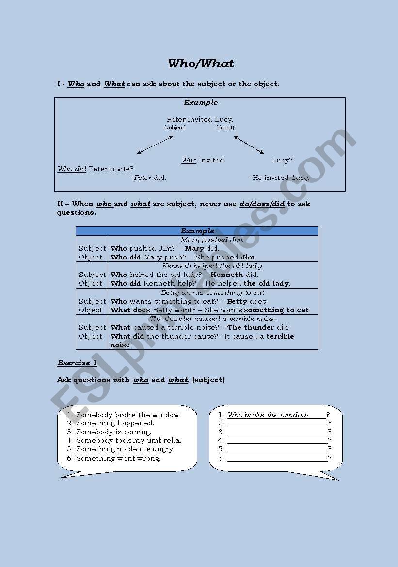 who/what questions worksheet