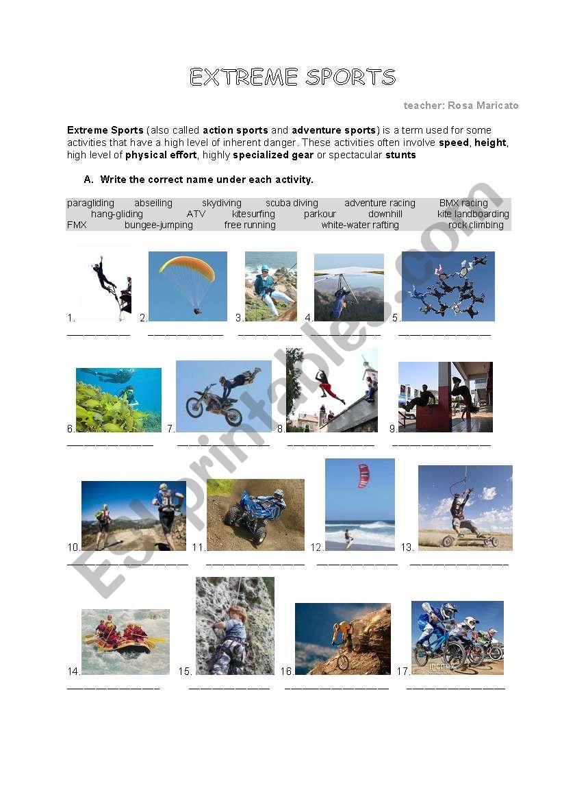 extreme sports worksheet