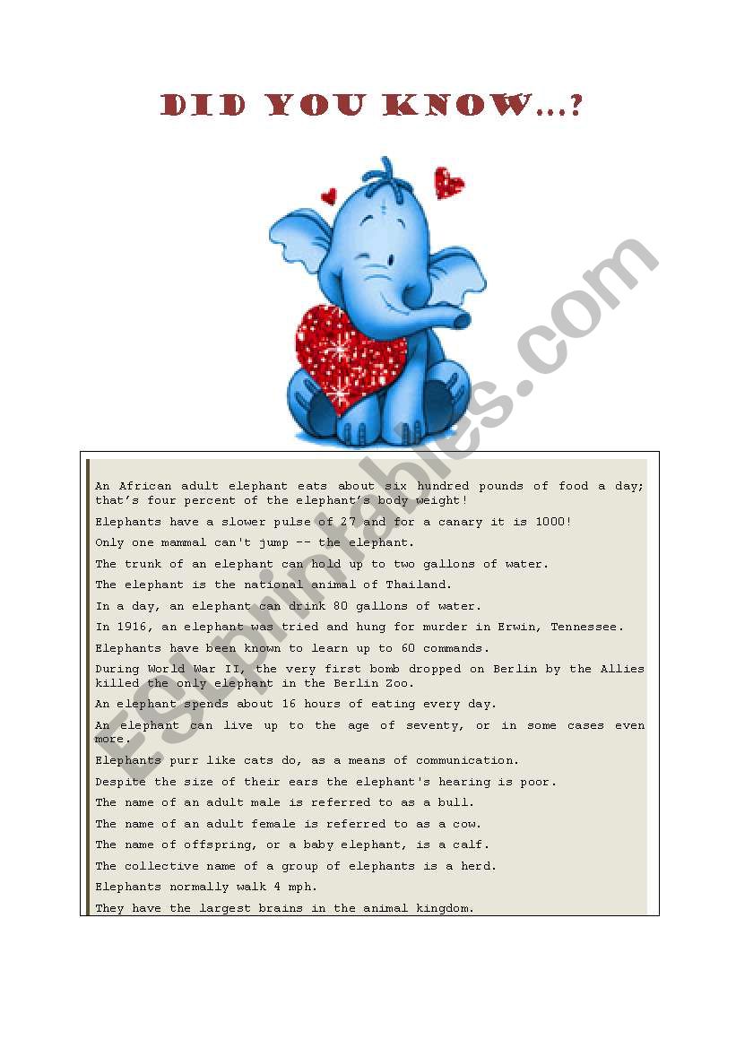 Fun facts about elephants worksheet