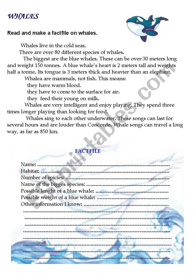 Whales worksheet