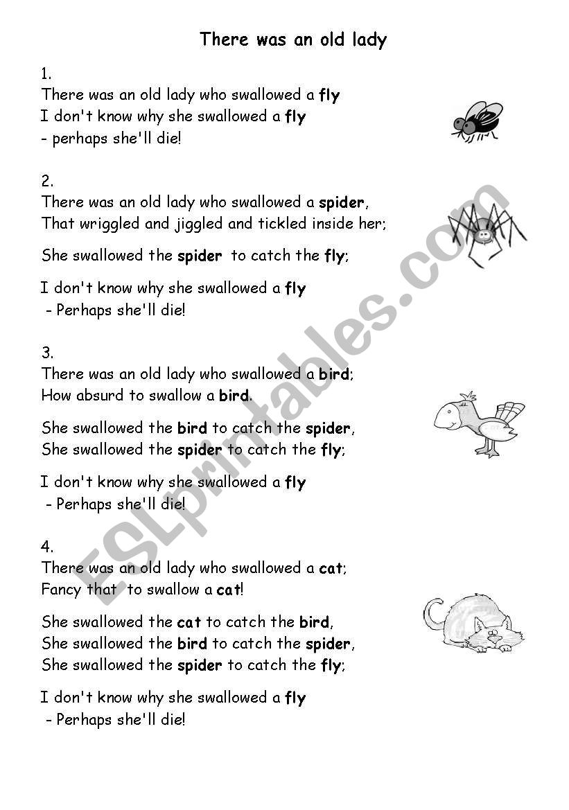 There Was An Old Lady Esl Worksheet By Mariong