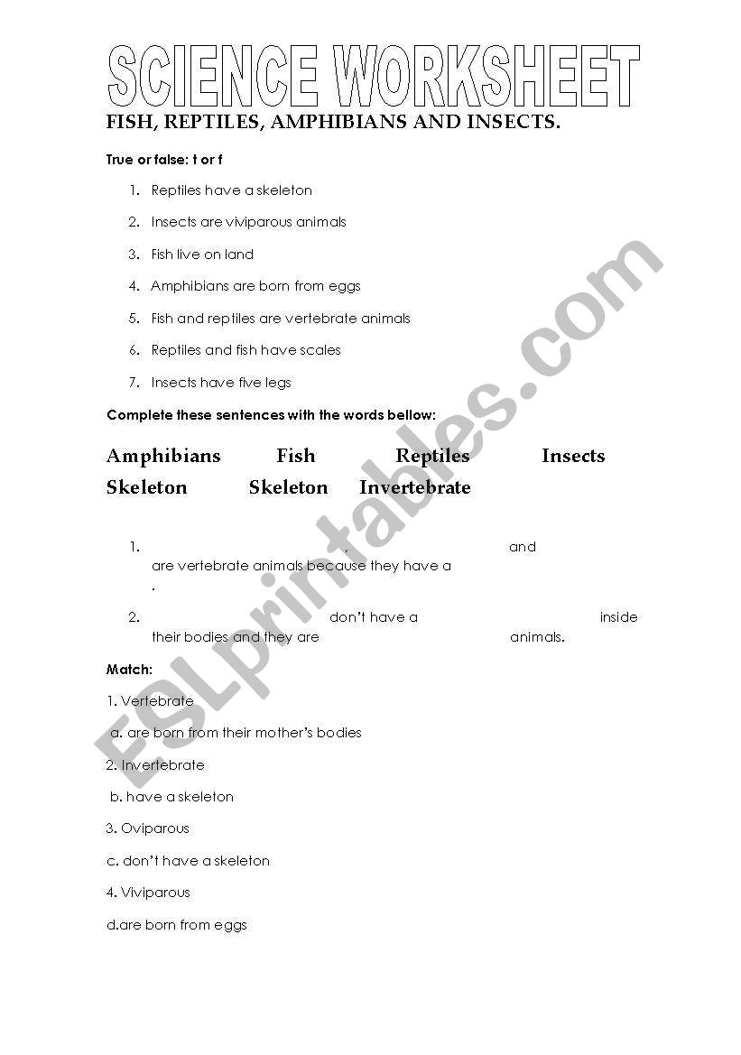 science worksheet worksheet