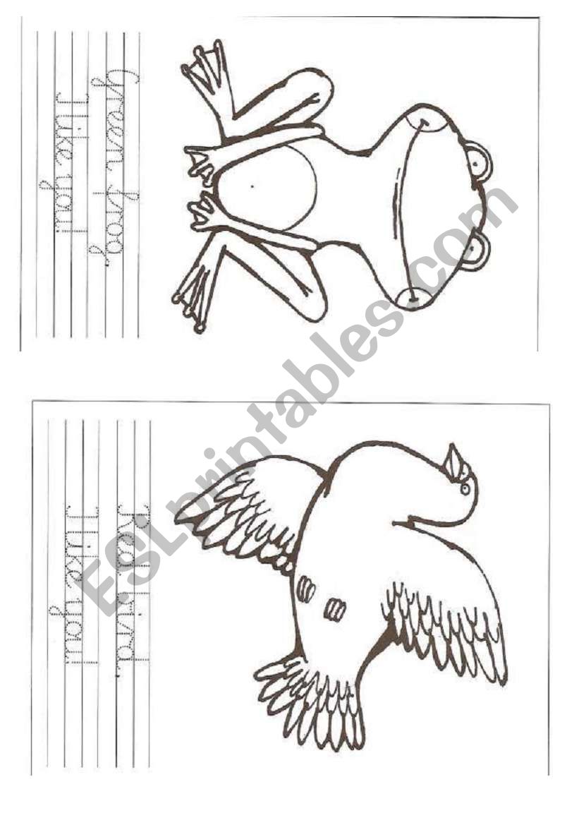 animals flashcards worksheet