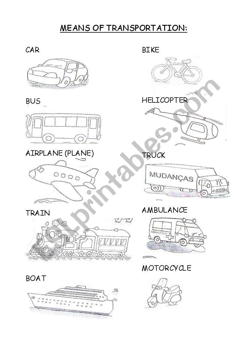 Means of transport worksheet