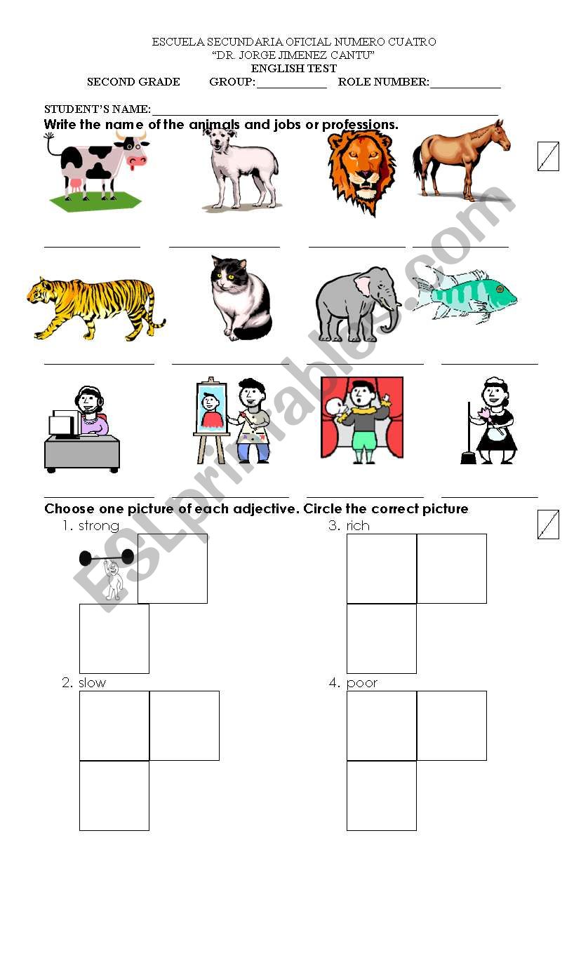 test for 2nd grade worksheet