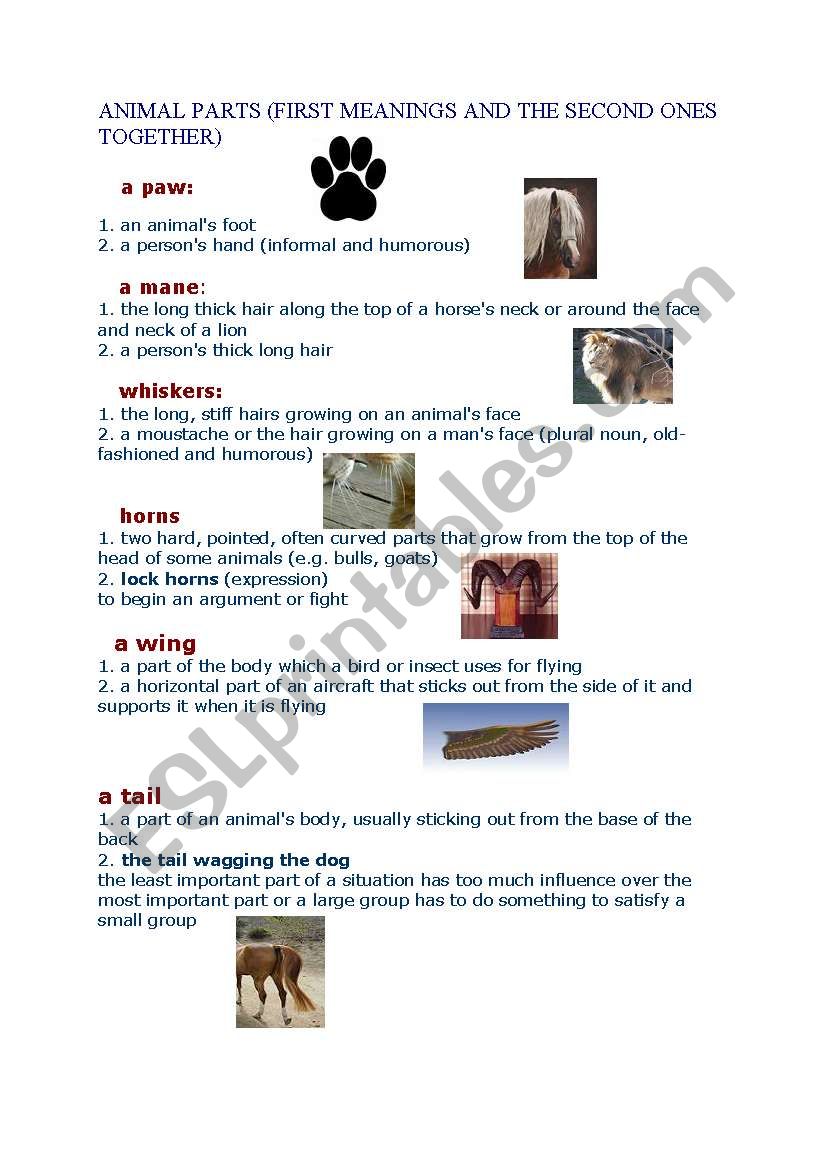 animal parts,sounds and idioms(7 pages)