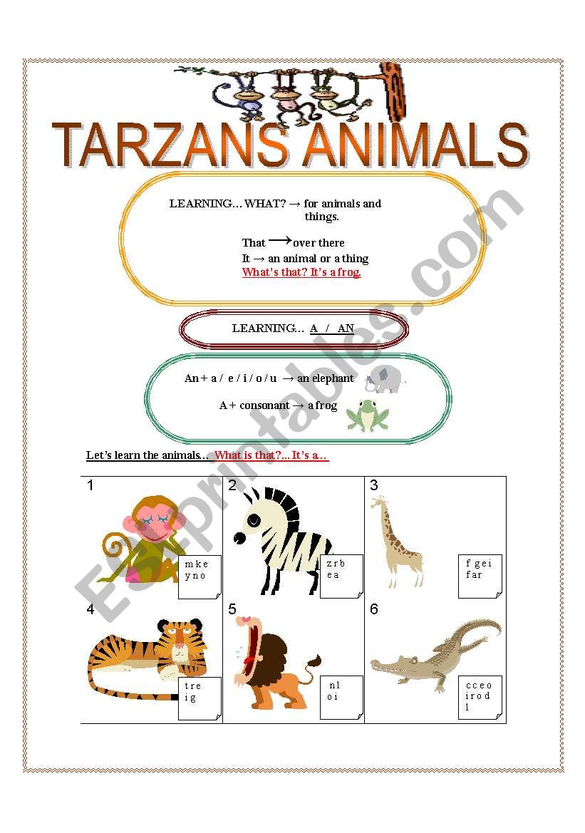 TARZANS ANIMALS: LEARNING A /AN etc