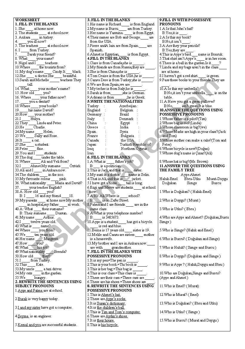 worksheet for the sixth classes