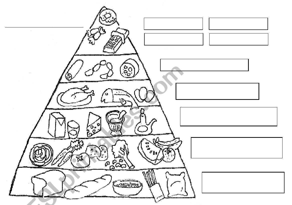 Food pyramid worksheet