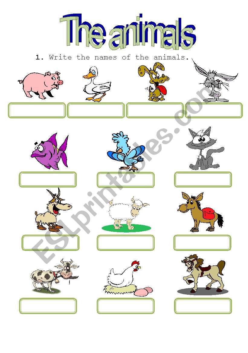 Animals worksheet