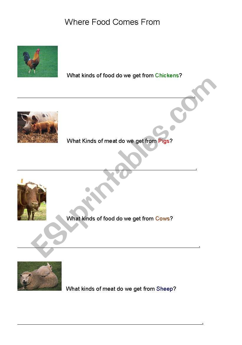 Where Food Comes From worksheet