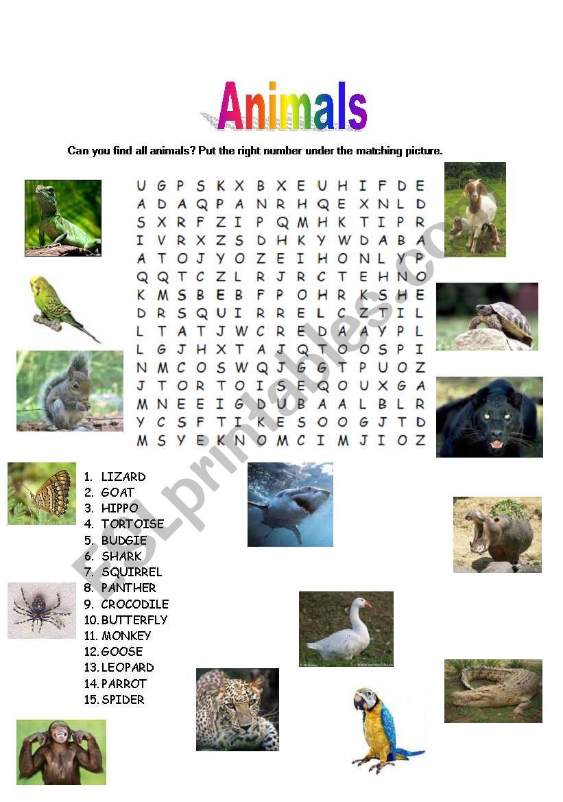 wordsearch animals worksheet