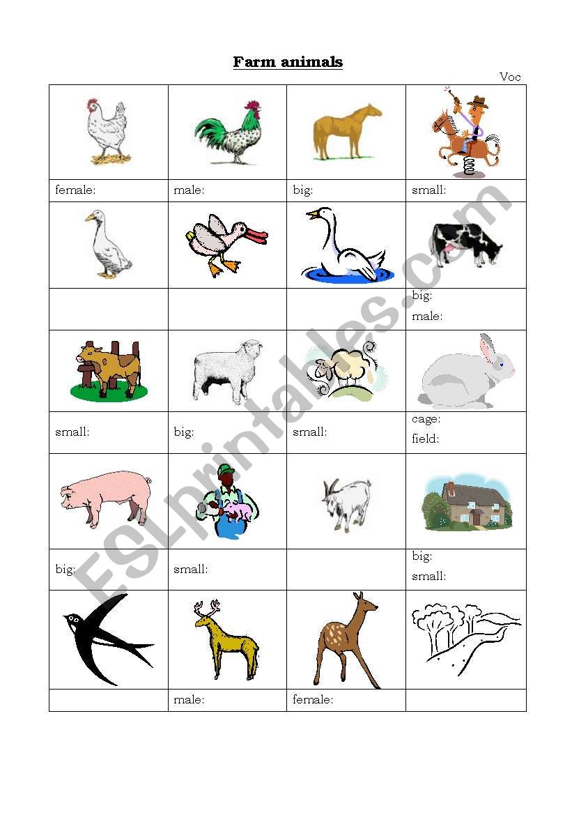 farm animals vocabulary worksheet