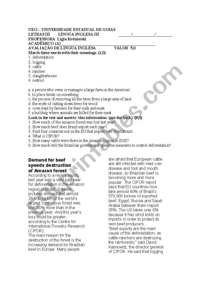 Brazil worksheet